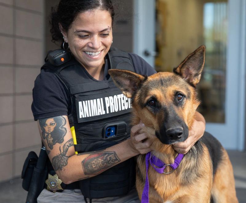Field Services Officer smiling as she pets a german shepherd.